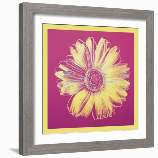 Daisy, c.1982 (fuchsia & yellow)-Andy Warhol-Framed Art Print