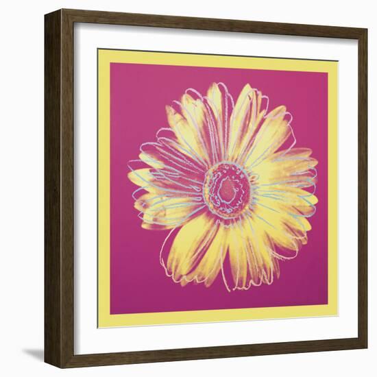 Daisy, c.1982 (fuchsia & yellow)-Andy Warhol-Framed Art Print