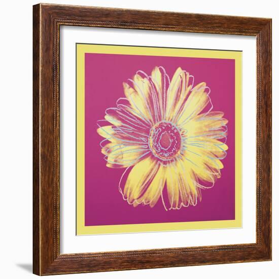 Daisy, c.1982 (fuchsia & yellow)-Andy Warhol-Framed Art Print