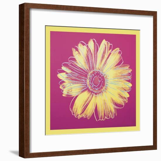 Daisy, c.1982 (fuchsia & yellow)-Andy Warhol-Framed Art Print