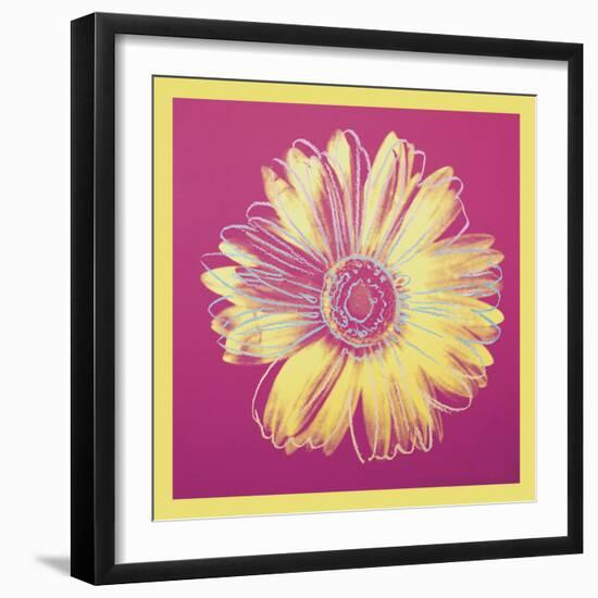 Daisy, c.1982 (fuchsia & yellow)-Andy Warhol-Framed Art Print