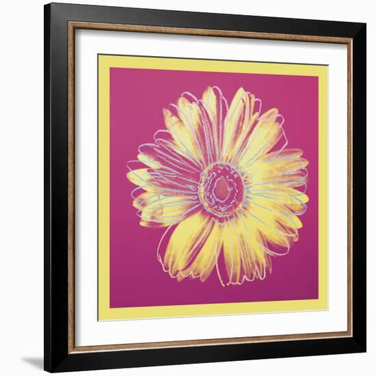 Daisy, c.1982 (fuchsia & yellow)-Andy Warhol-Framed Art Print