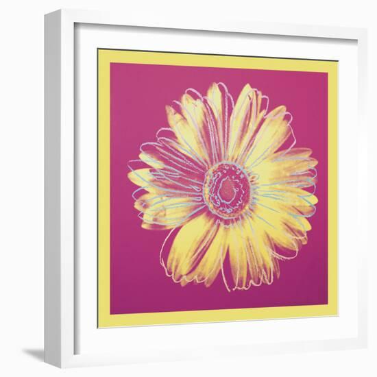 Daisy, c.1982 (fuchsia & yellow)-Andy Warhol-Framed Art Print