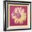 Daisy, c.1982 (fuchsia & yellow)-Andy Warhol-Framed Art Print