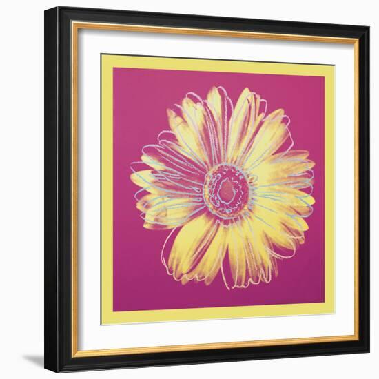 Daisy, c.1982 (fuchsia & yellow)-Andy Warhol-Framed Art Print