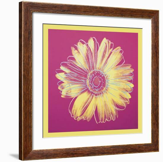 Daisy, c.1982 (fuchsia & yellow)-Andy Warhol-Framed Art Print