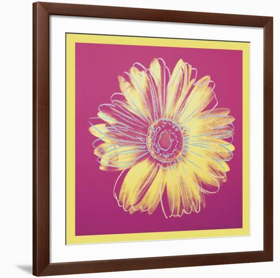 Daisy, c.1982 (fuchsia & yellow)-Andy Warhol-Framed Art Print