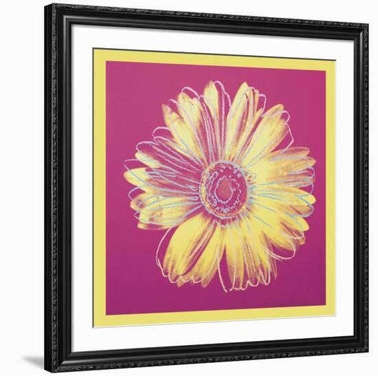 Daisy, c.1982 (fuchsia & yellow)-Andy Warhol-Framed Art Print