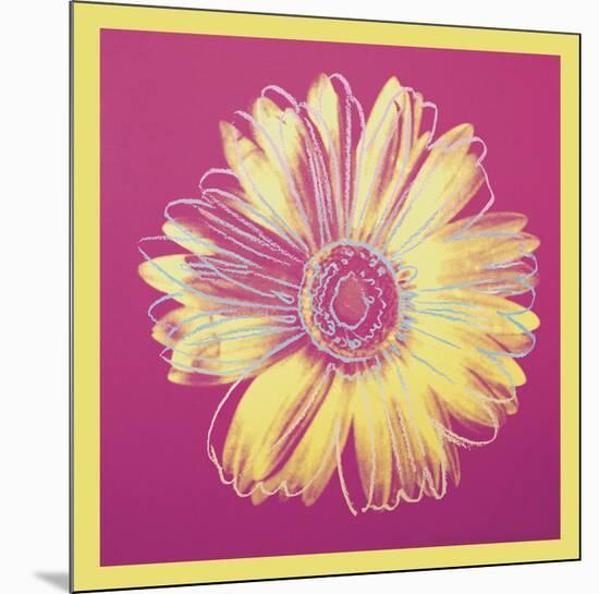 Daisy, c.1982 (fuchsia & yellow)-Andy Warhol-Mounted Art Print