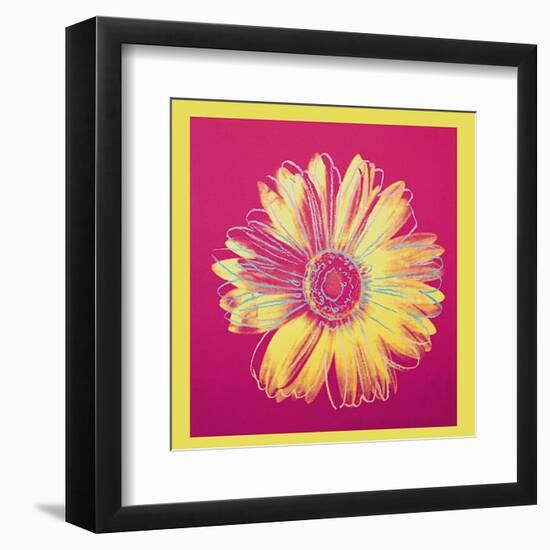 Daisy, c.1982 (Fuschia and Yellow)-Andy Warhol-Framed Art Print