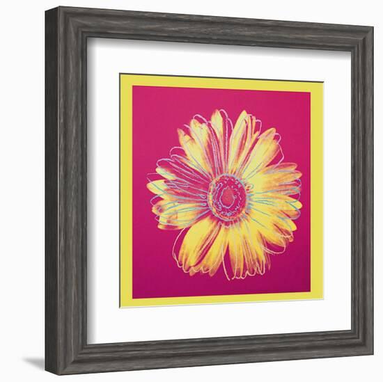 Daisy, c.1982 (Fuschia and Yellow)-Andy Warhol-Framed Art Print