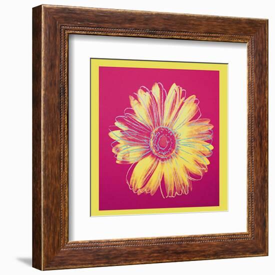 Daisy, c.1982 (Fuschia and Yellow)-Andy Warhol-Framed Art Print