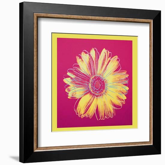 Daisy, c.1982 (Fuschia and Yellow)-Andy Warhol-Framed Art Print