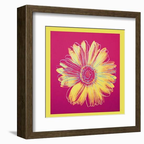 Daisy, c.1982 (Fuschia and Yellow)-Andy Warhol-Framed Art Print