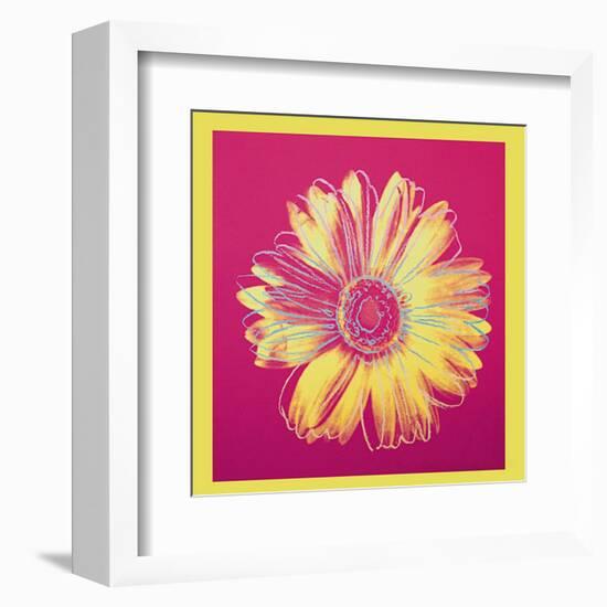 Daisy, c.1982 (Fuschia and Yellow)-Andy Warhol-Framed Art Print