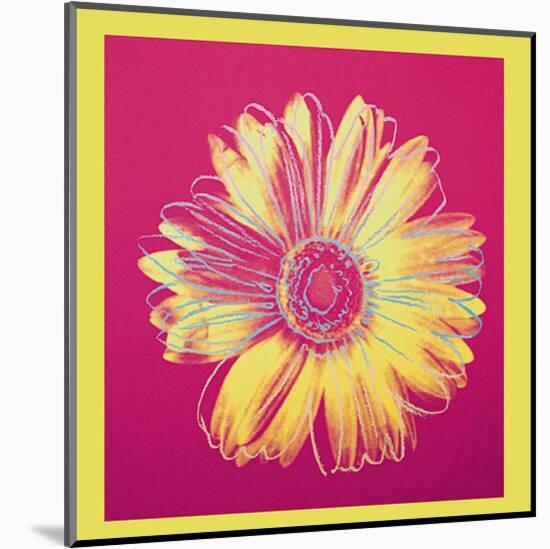 Daisy, c.1982 (Fuschia and Yellow)-Andy Warhol-Mounted Art Print