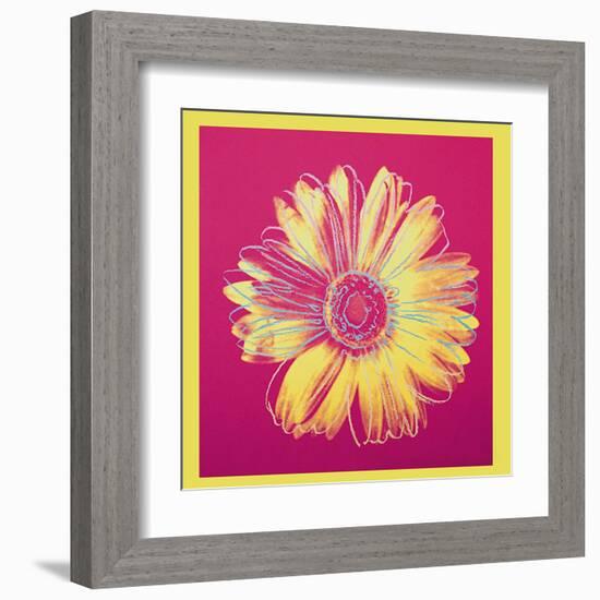 Daisy, c.1982 (Fuschia and Yellow)-Andy Warhol-Framed Art Print