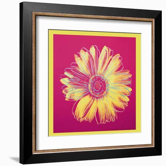 Daisy, c.1982 (Fuschia and Yellow)-Andy Warhol-Framed Art Print