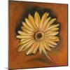 Daisy Collection I-Nelly Arenas-Mounted Art Print