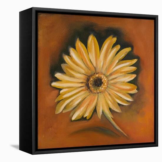 Daisy Collection I-Nelly Arenas-Framed Stretched Canvas