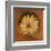 Daisy Collection I-Nelly Arenas-Framed Art Print