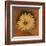 Daisy Collection I-Nelly Arenas-Framed Art Print