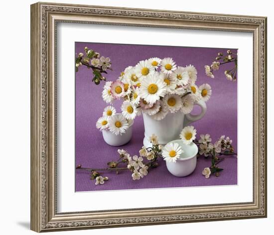 Daisy Delight II-null-Framed Art Print