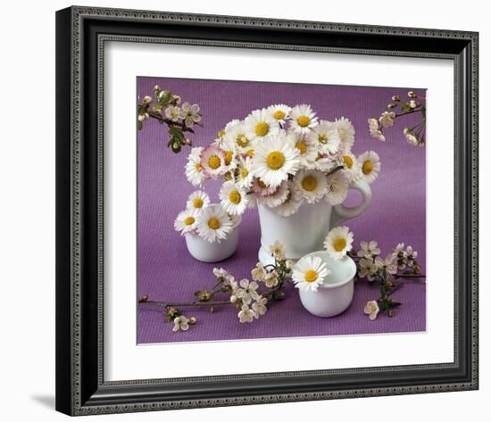 Daisy Delight II-null-Framed Art Print