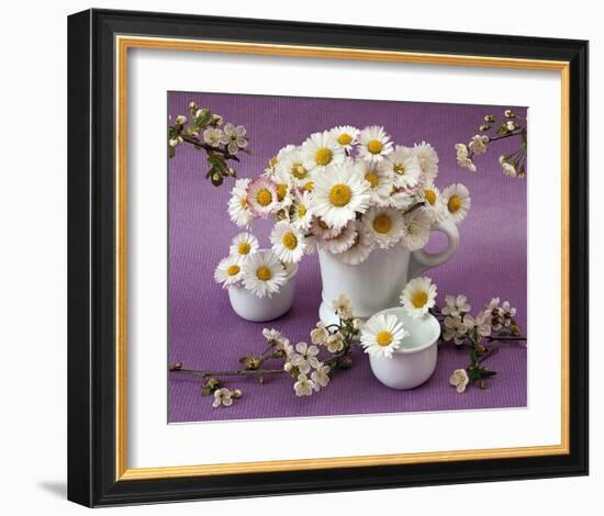 Daisy Delight II-null-Framed Art Print