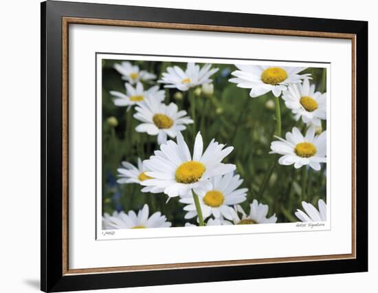 Daisy Detail-Stacy Bass-Framed Giclee Print