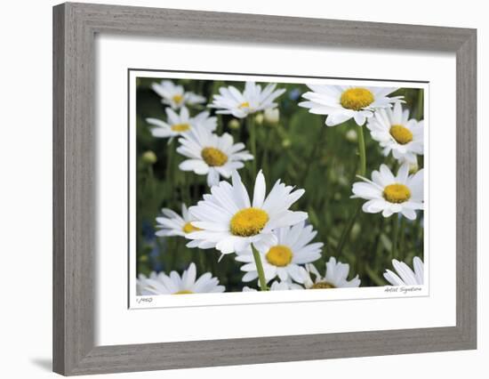 Daisy Detail-Stacy Bass-Framed Giclee Print