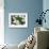 Daisy Detail-Stacy Bass-Framed Giclee Print displayed on a wall