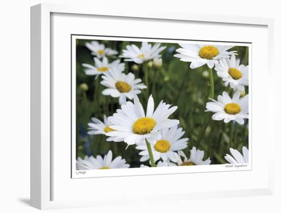 Daisy Detail-Stacy Bass-Framed Giclee Print