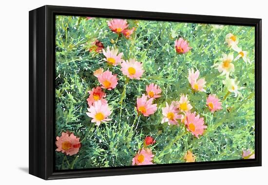 Daisy Field I-Emily Navas-Framed Stretched Canvas