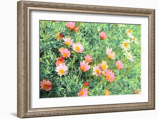 Daisy Field I-Emily Navas-Framed Art Print