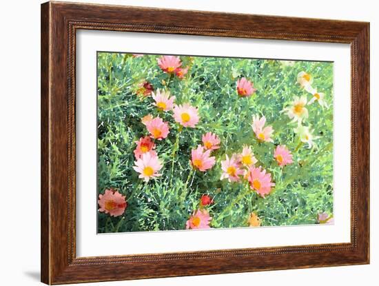 Daisy Field I-Emily Navas-Framed Art Print