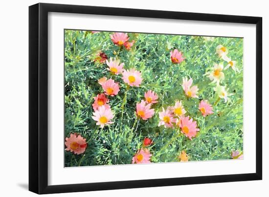 Daisy Field I-Emily Navas-Framed Art Print