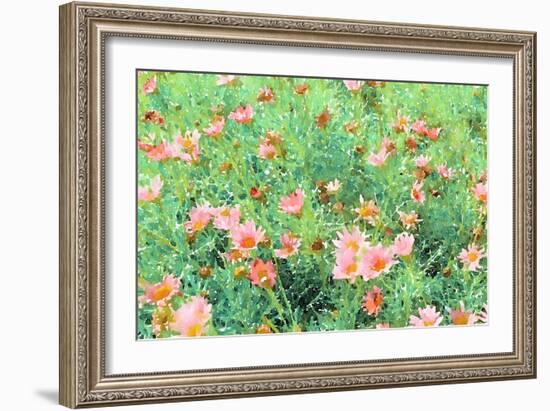 Daisy Field II-Emily Navas-Framed Art Print