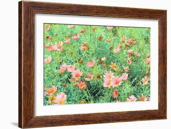 Daisy Field II-Emily Navas-Framed Art Print