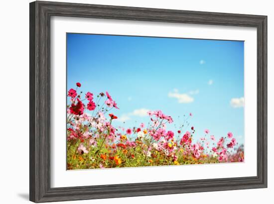 Daisy Flower against Blue Sky,Shallow Dof.-Liang Zhang-Framed Photographic Print