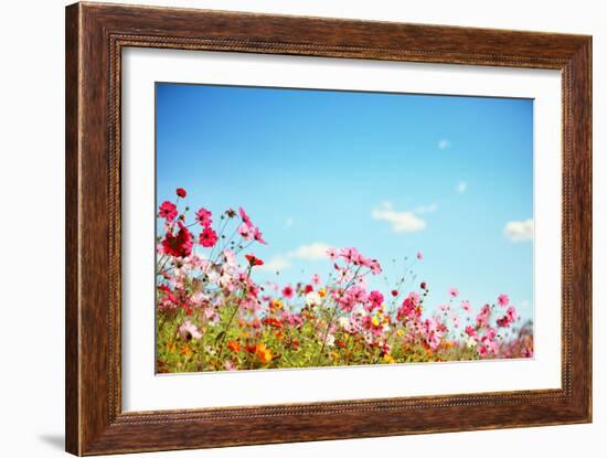 Daisy Flower against Blue Sky,Shallow Dof.-Liang Zhang-Framed Photographic Print