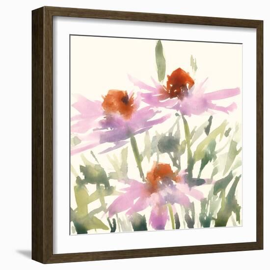 Daisy Garden Views I-Samuel Dixon-Framed Art Print