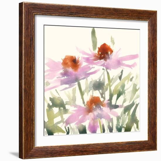 Daisy Garden Views I-Samuel Dixon-Framed Art Print