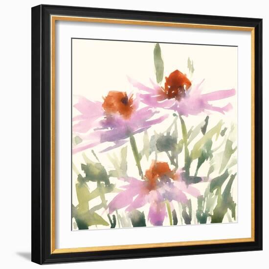 Daisy Garden Views I-Samuel Dixon-Framed Art Print