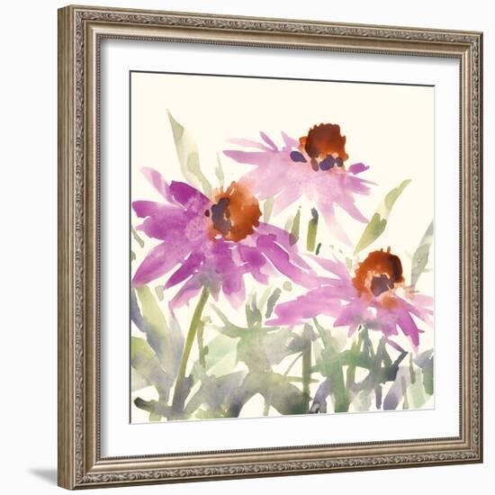 Daisy Garden Views II-Samuel Dixon-Framed Art Print