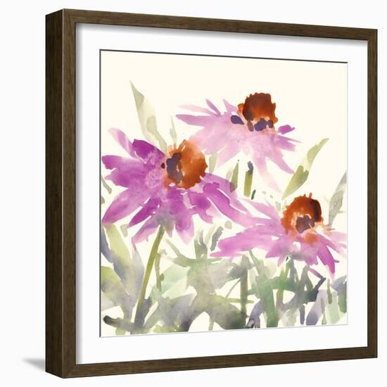 Daisy Garden Views II-Samuel Dixon-Framed Art Print