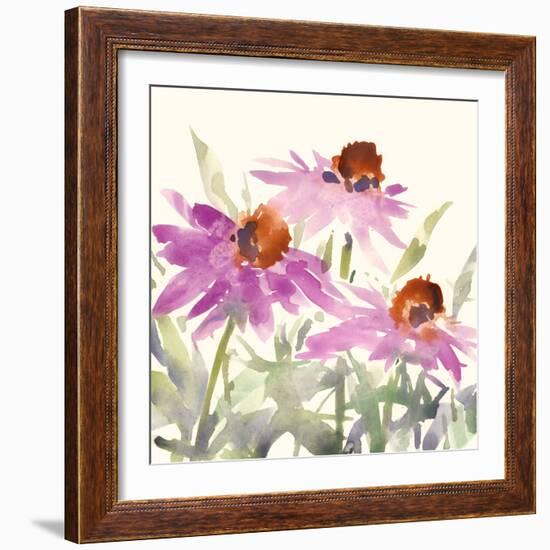 Daisy Garden Views II-Samuel Dixon-Framed Art Print