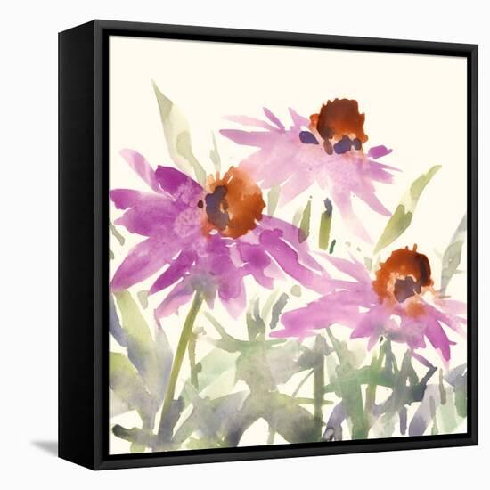 Daisy Garden Views II-Samuel Dixon-Framed Stretched Canvas