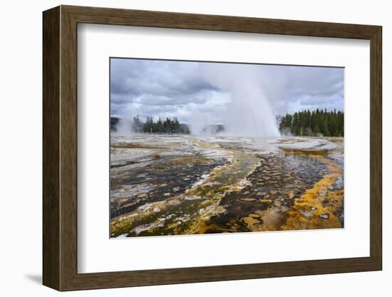 Daisy Geyser, Upper Geyser Basin, Yellowstone National Park, Wyoming, United States of America-Gary Cook-Framed Photographic Print