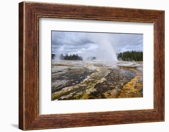 Daisy Geyser, Upper Geyser Basin, Yellowstone National Park, Wyoming, United States of America-Gary Cook-Framed Photographic Print